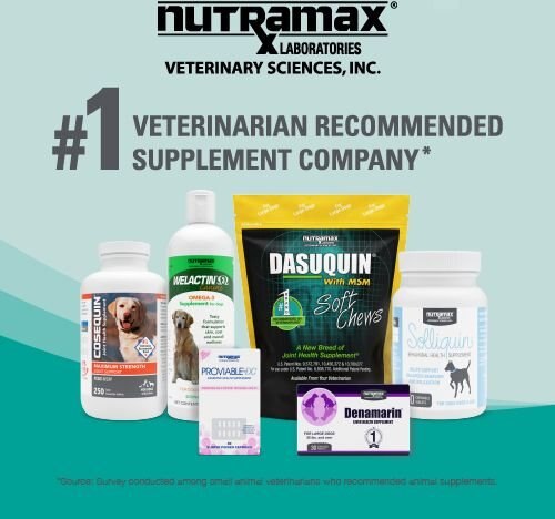 Nutramax Dasuquin Hip and Joint Soft Chews Joint Supplement for Large Dogs