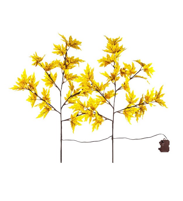 Indoor outdoor Lighted Golden Sugar Maple Tree Branches Set Of 2