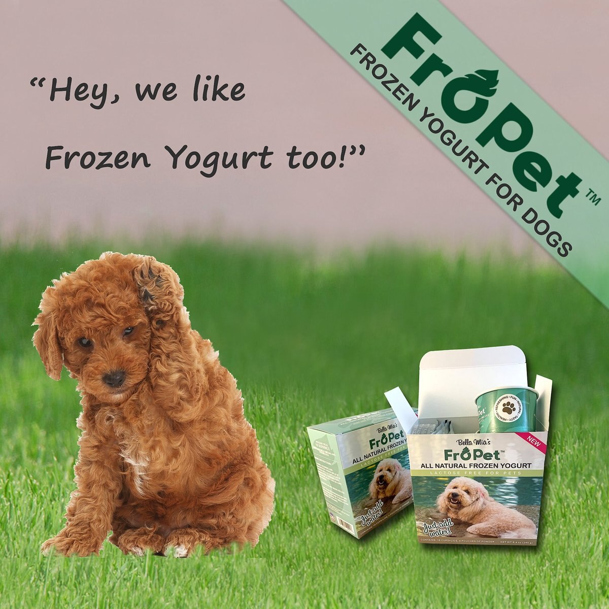 FroPet All Natural Frozen Yogurt Lactose-Free Dog and Cat Treats， 16 count