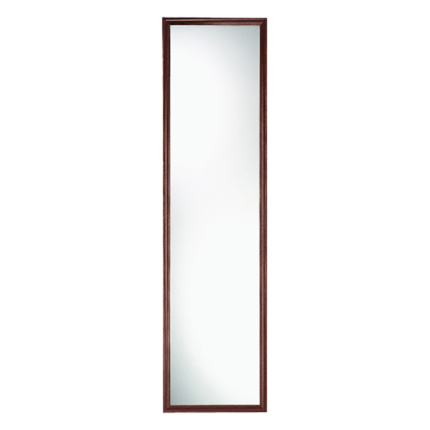 Erias 49 in. H X 13 in. W Natural Brown Plastic Mirror