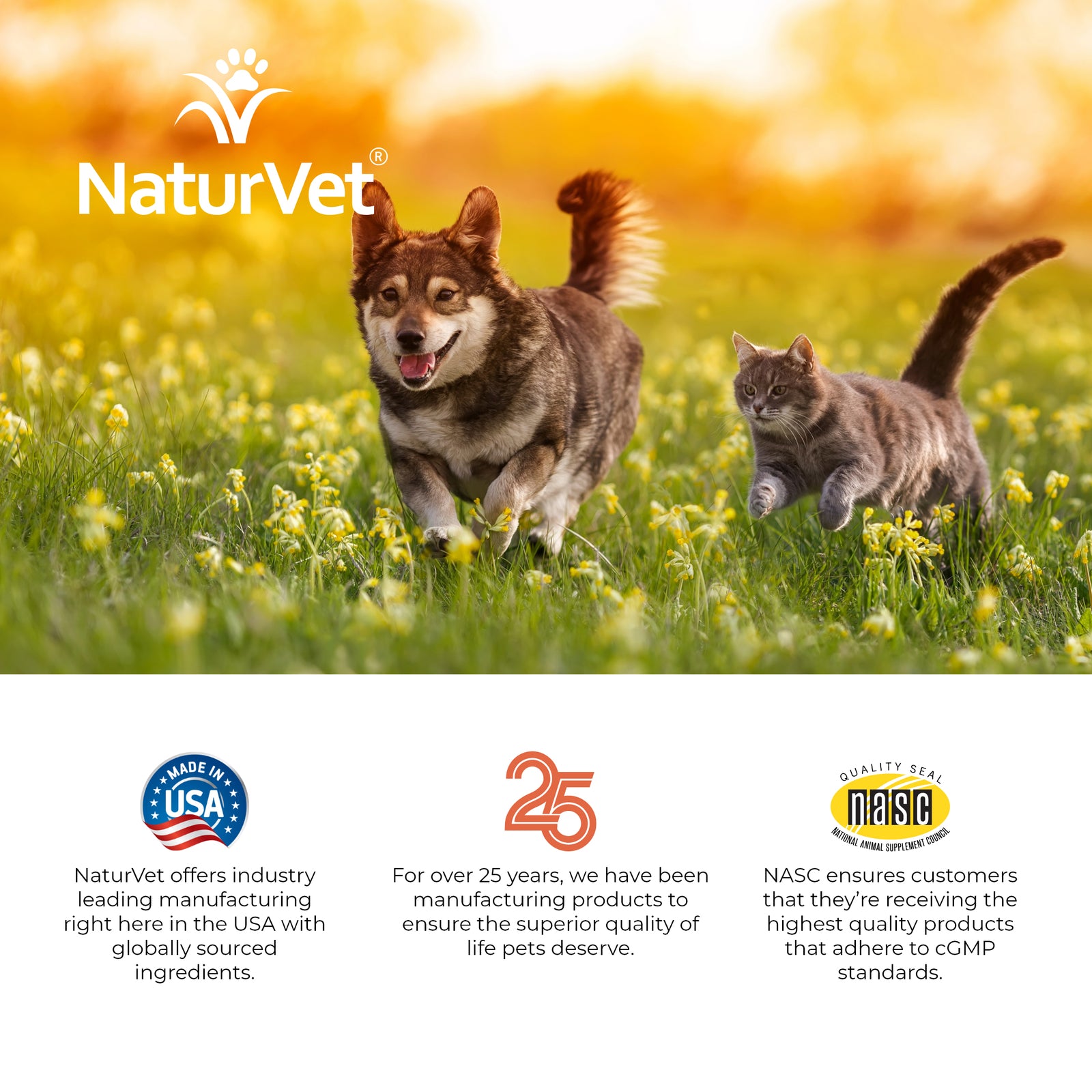 NaturVet Aller 911 Allergy Aid Skin  Coat Dog  Cat Tablets