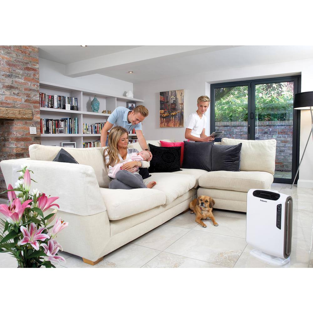 Fellowes AeraMax DX55 True HEPA Medium Room Air Purifier 400 sq.ft. for Allergies Asthma and Odor 9320701