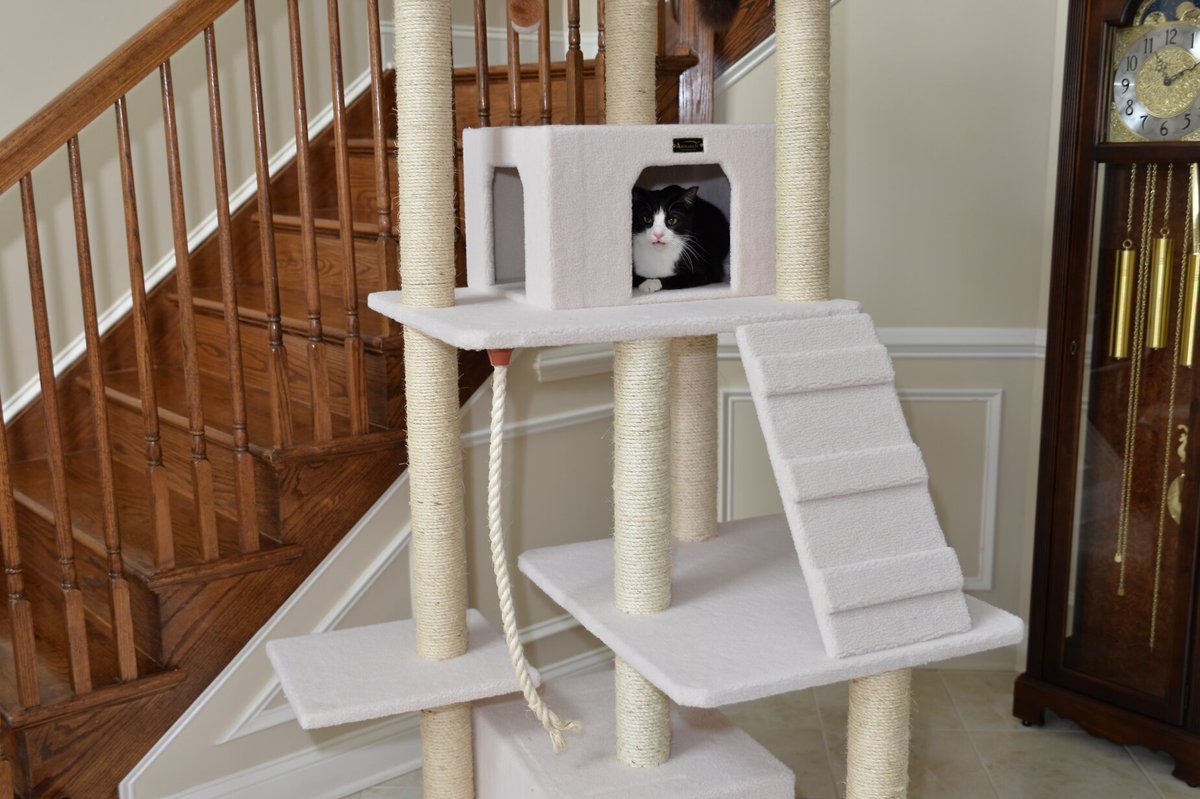 Armarkat 82-in Classic Cat Tree， Ivory