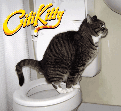 CitiKitty Cat Toilet Training Kit