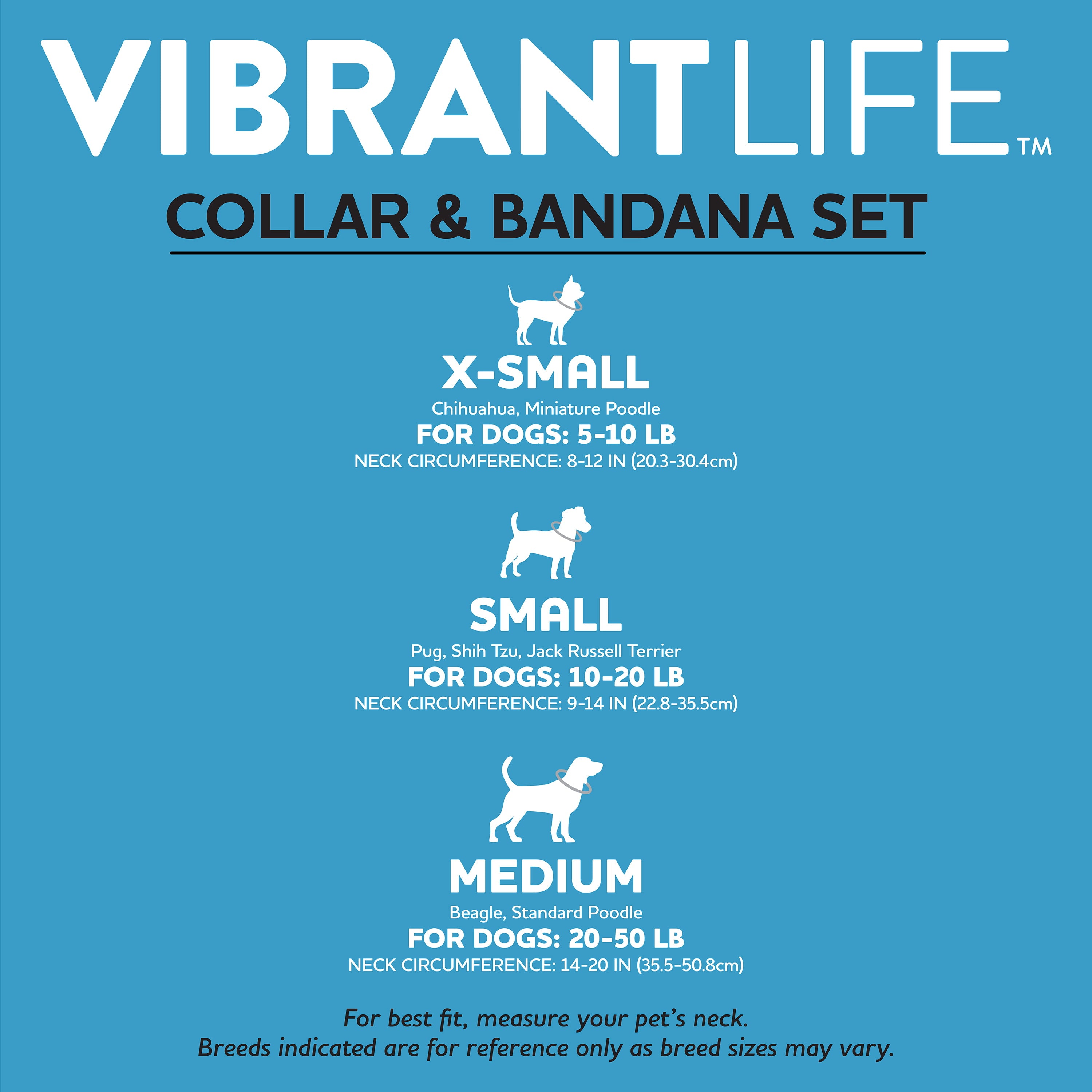 Vibrant Life Favorite Child Dog Bandana， 2 Pack， Multicolor， XS