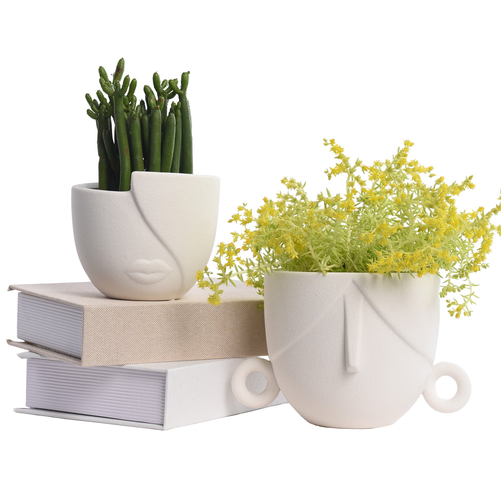 Garden Succulent Planter Flower Pots Set of 2, Indoor Planter Pots with Drainage Hole, Ceramic White 5.4” + 4.7”