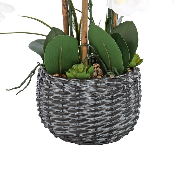 7 Stems Artificial Real Touch Silk Orchid with Succulents in Bamboo Woven Basin