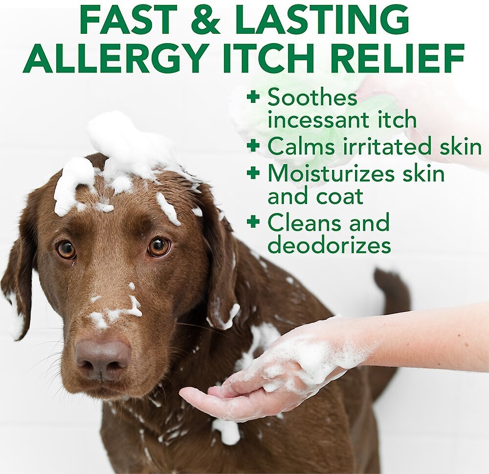 Vet's Best Allergy Itch Relief Shampoo for Dogs