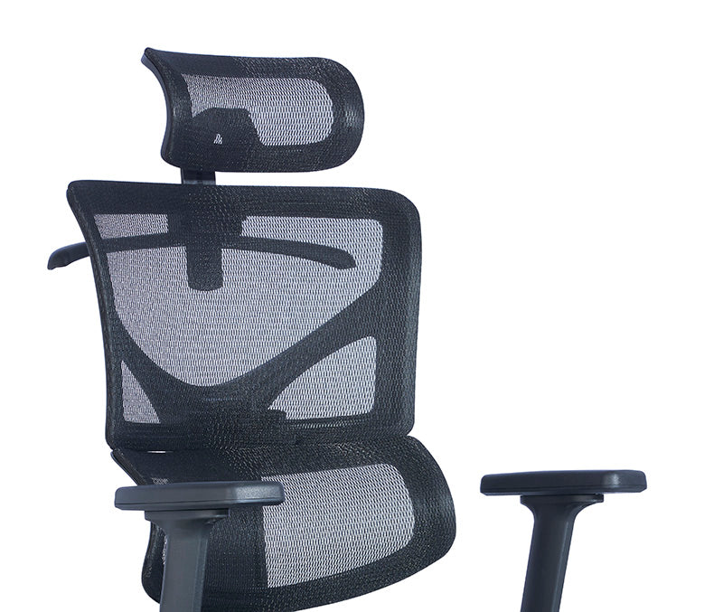 BIRGER Executive Office Chair with Headrest - Black