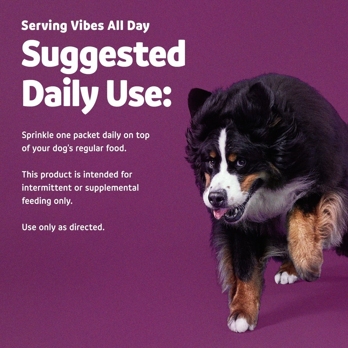 Vibeful Probiotic Gastrointestinal Support Powder Digestive Supplement for Dogs