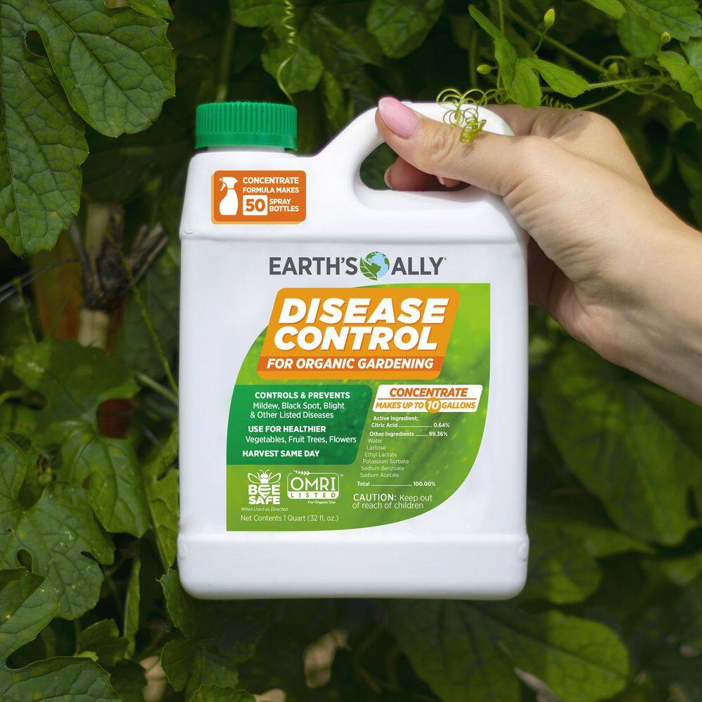 EARTH'S ALLY 1 qt. Concentrate Fungicide Disease Control 10016