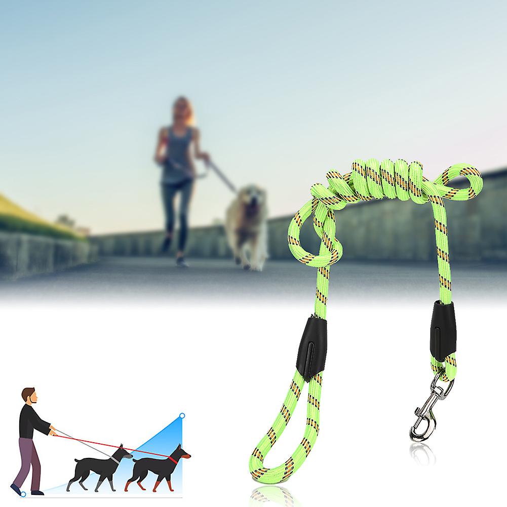 Outdoor High Strength Nylon Pet Dog Traction Rope Supply For Outside Walkinggreen Large