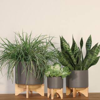 Flynama 5 in. Gray Ceramic Planter Stand Plant Pot with Wood Stand Feet for OutdoorIndoor(1-Pack) JX-79106869