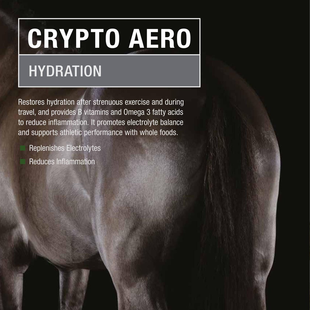 Crypto Aero Hydration and Recovery Powder Horse Supplement