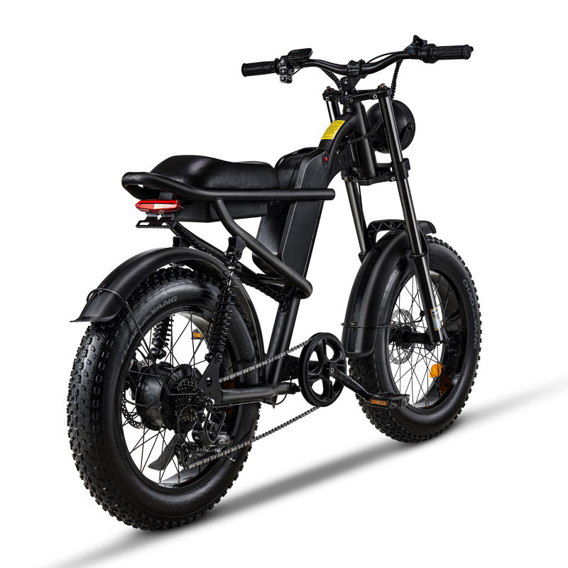 DROPSHIP ADULT BEACH Z8 ELECTRIC BIKE BICYCLE with Thumb throttle