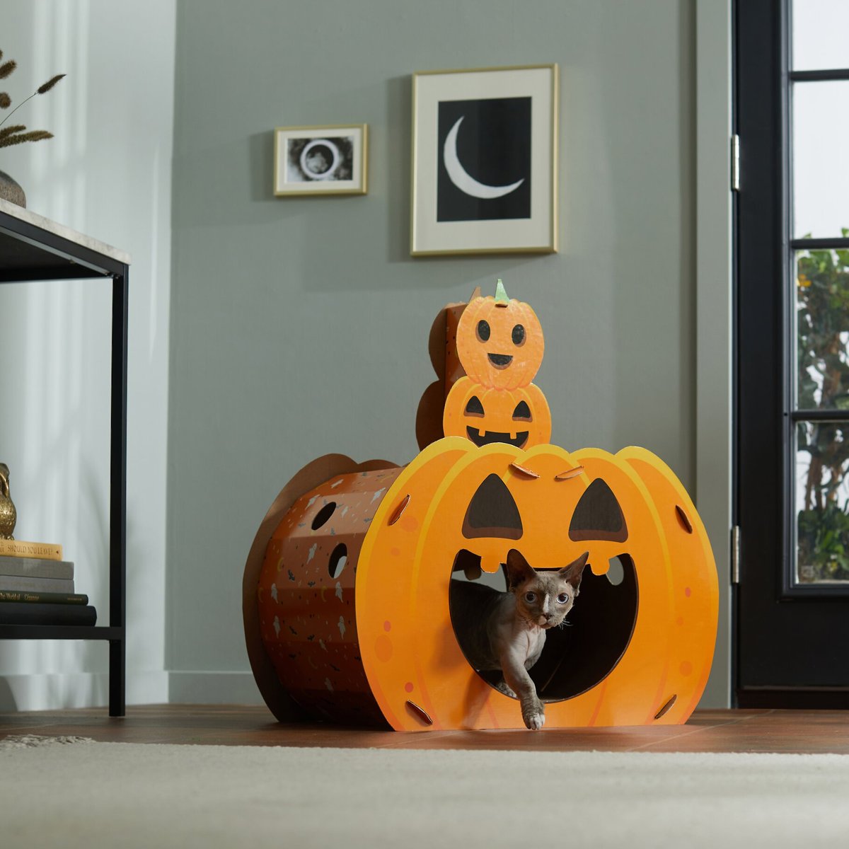 Frisco Halloween Jack-o-Lantern Cardboard Cat House