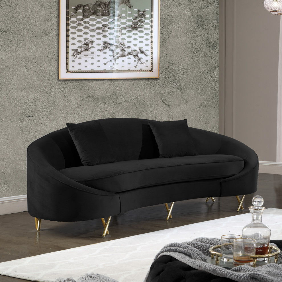 Serpentine Black Velvet Chair   Contemporary   Sofas   by Meridian Furniture  Houzz