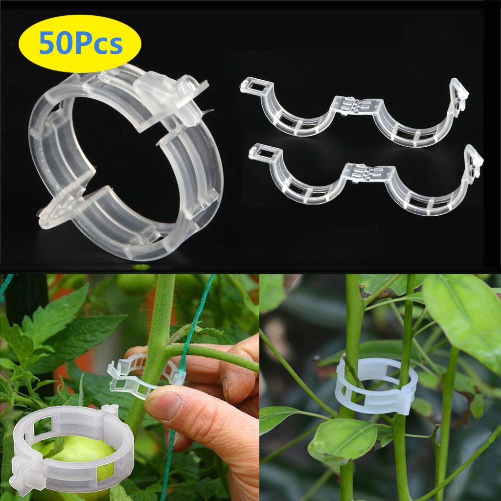 Spencer 100/200/300Pcs Tomato Trellis Plant Clips Vine Support Garden Tool for Vine Vegetables, GardenTrellis Clips