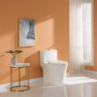 HOROW 1-piece 0.81.28 GPF Dual Flush Elongated Toilet in White Seat Included HR-0038W