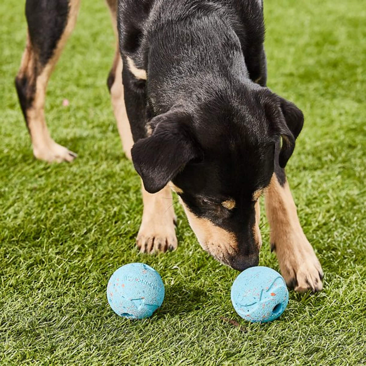 Chuckit! Rebounce Recycled Rubber Dog Balls- 2pk