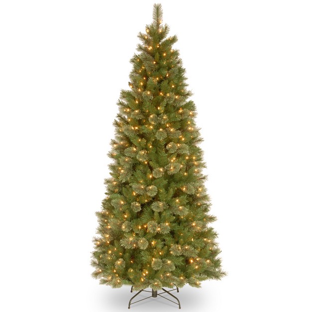 National Tree Company 7.5 Ft. Tacoma Pine Slim Tree With Clear Lights