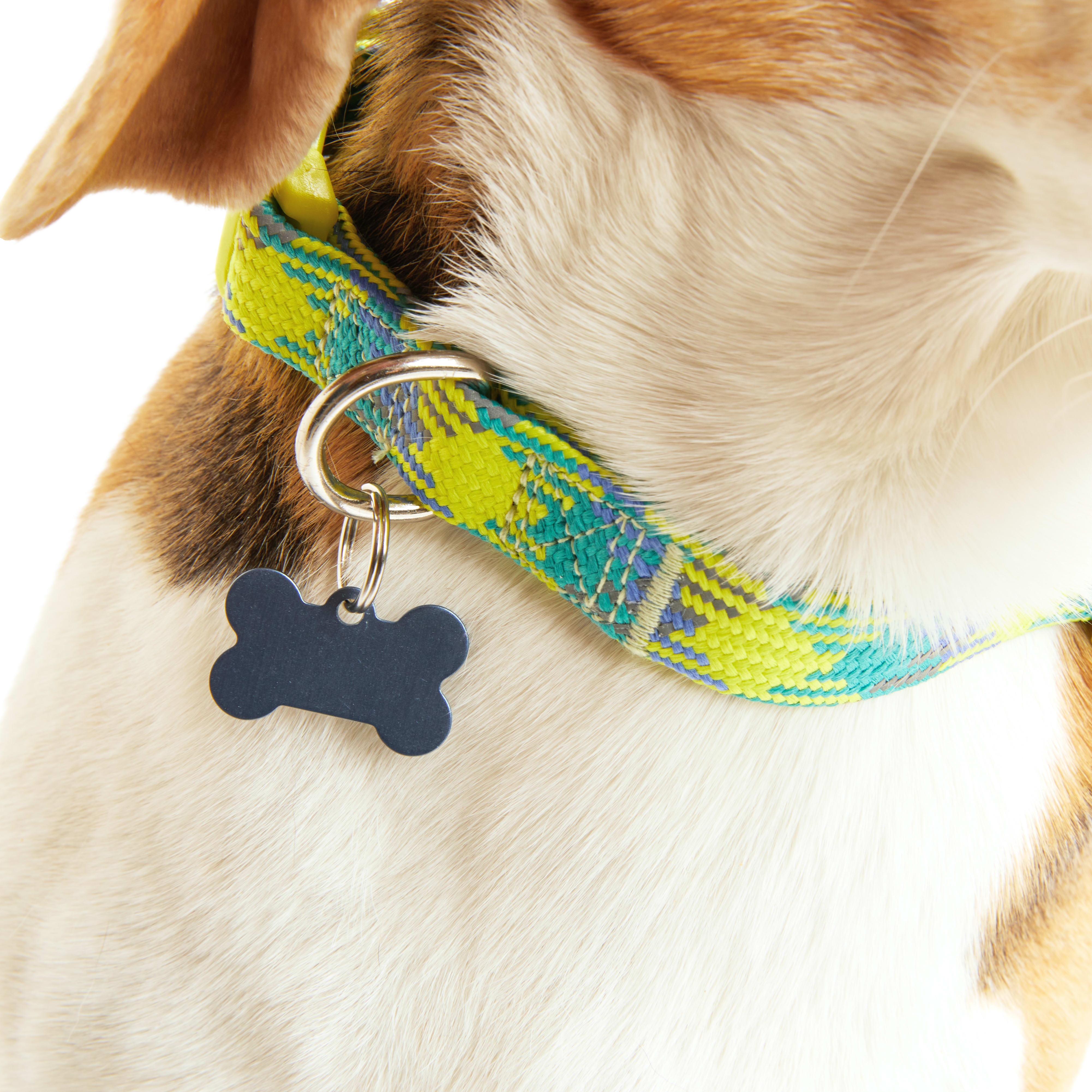 YOULY Yellow/Blue Reflective Dog Collar， Small