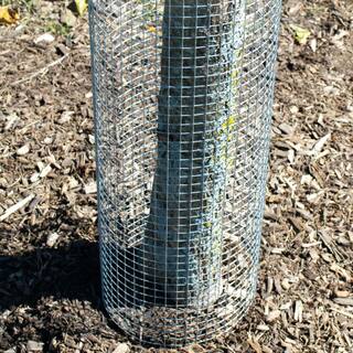YARDGARD Galvanized Steel 12 in. Mesh 4 ft. x 25 ft. 19-Gauge Hardware Cloth 308226B