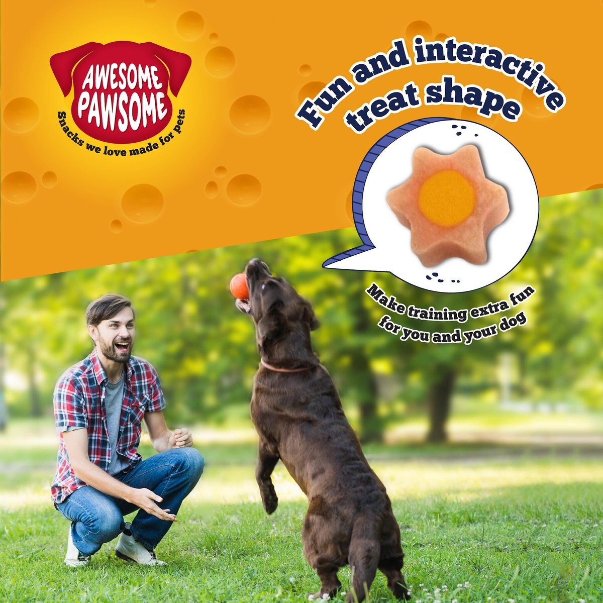 Awesome Pawsome Baconmania Dog Treats， 3-oz bag