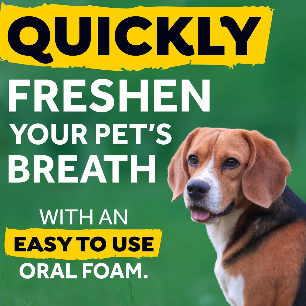 TropiClean Fresh Breath Oral Care Dog Dental Foam