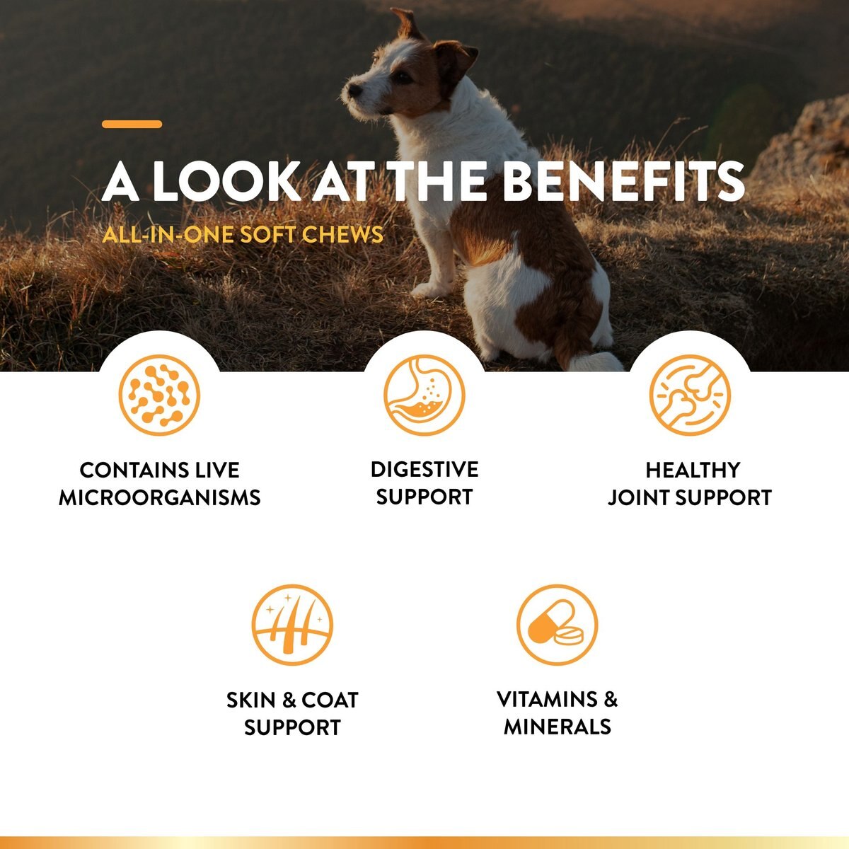 NaturVet All-in-One Soft Chews Multivitamin for Dogs