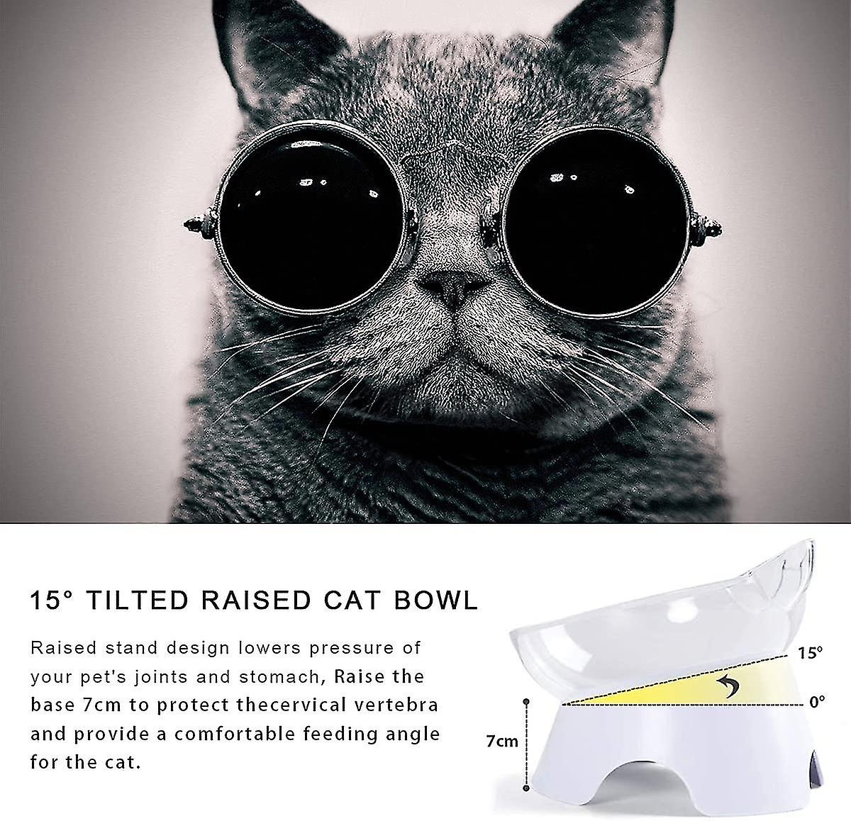 Cat Bowls， Automatic Cat Drinker And Feeder， Dry Food And Water Dispenser， 2 In 1 Automatic Slow Feeder For Kitten Puppy