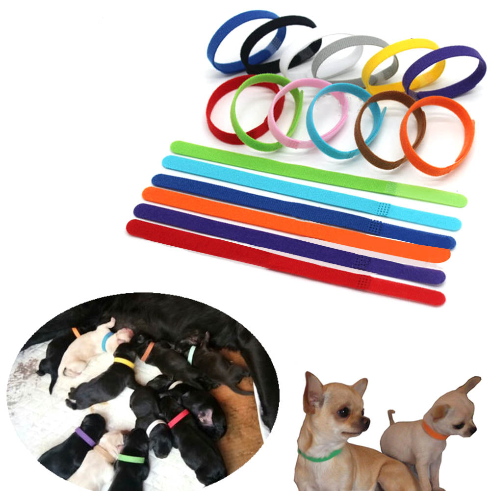 12Pcs/Pack Pet Collars Different Colors Soft Identification Mark For Cats Dogs Puppies Kitty Kitten Collars Leads Creative