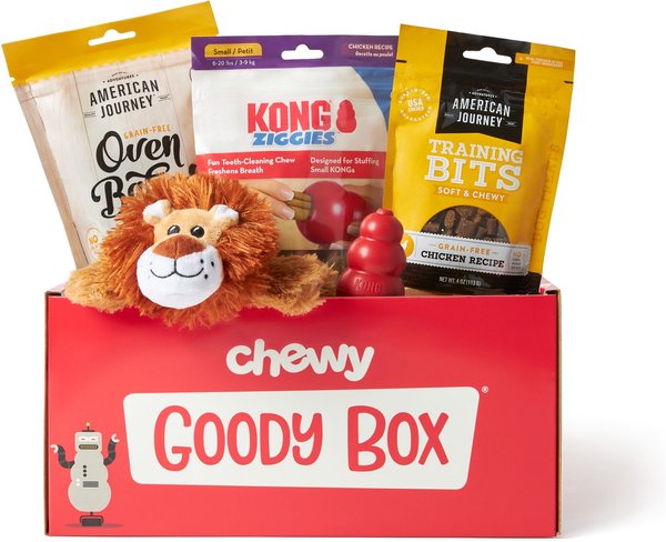 Goody Box x KONG Classic Dog Toys and Treats， Small