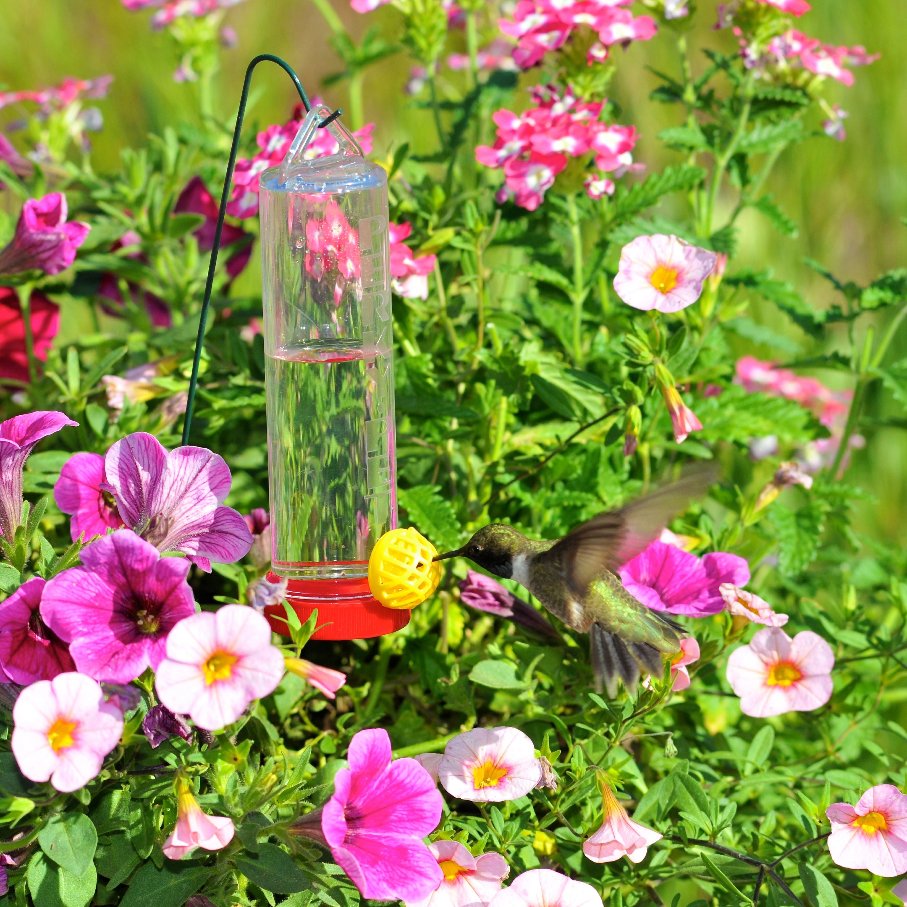 Perky-Pet Planter Box 3 oz Plastic Hummingbird Feeder with Hanging Rod