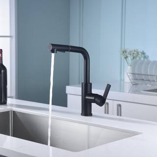 Ultra Faucets Hena Single-Handle Pull-Out Sprayer Kitchen Faucet with Accessories in Rust and Spot Resist in Matte Black UF13707