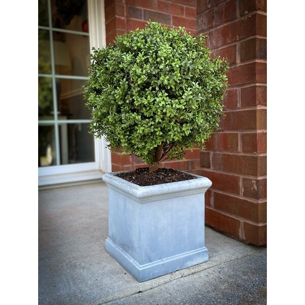 Uv Boxwood Ball Topiary