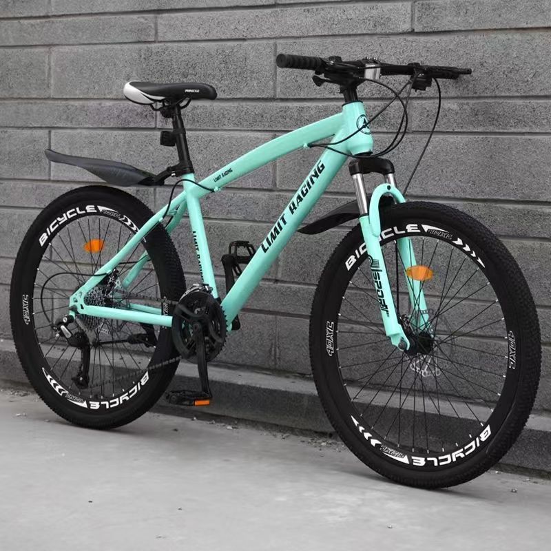 TOP Sales Vietnam market Factory Supply Cheap Price Steel Mountain Bike Adult Bicycle