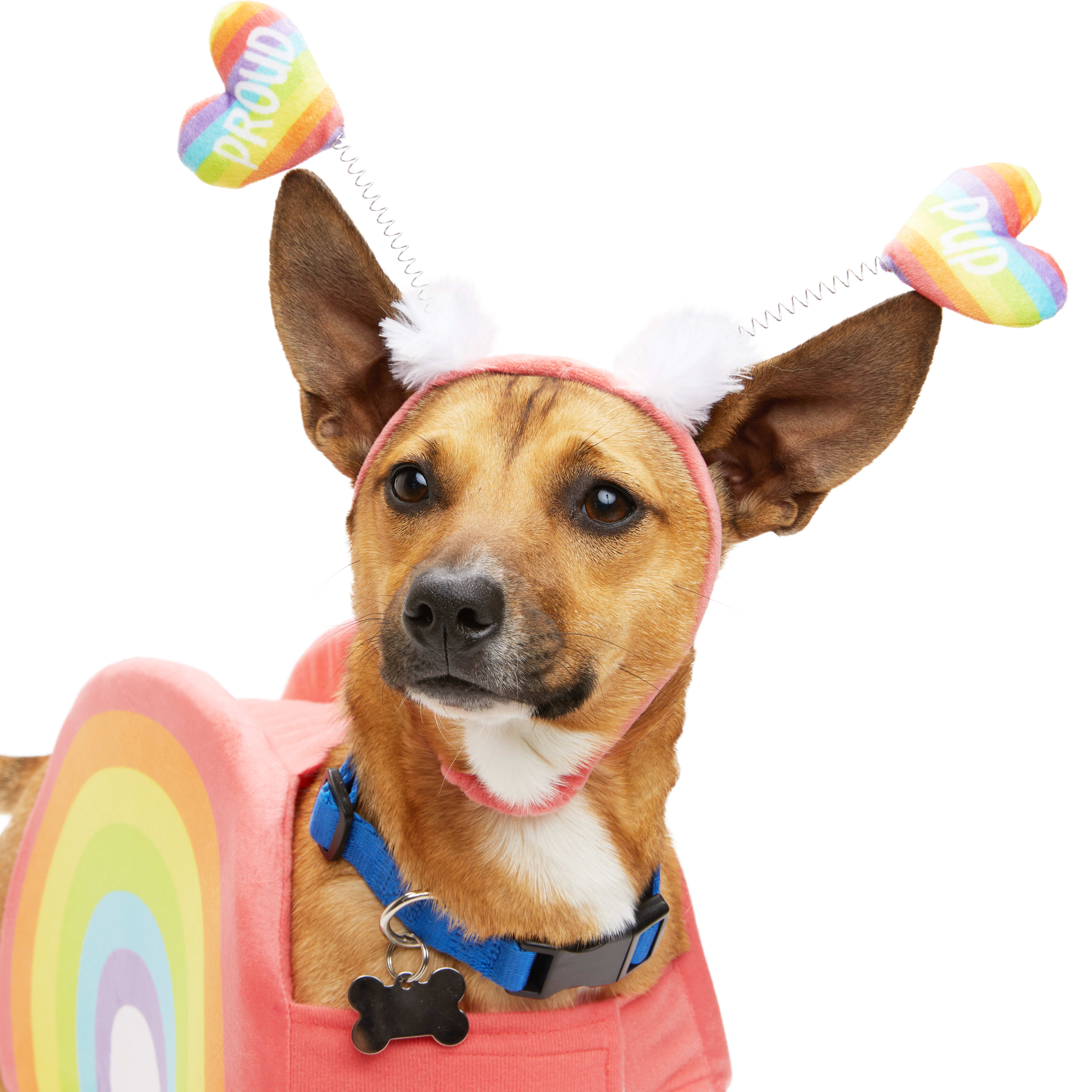 YOULY Pride Rainbow Dog Costume， X-Small