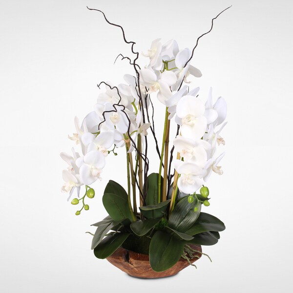 Real Touch Phalaenopsis Silk Orchid Arrangement with Curly Willow in Natural Teak Wood Bowl