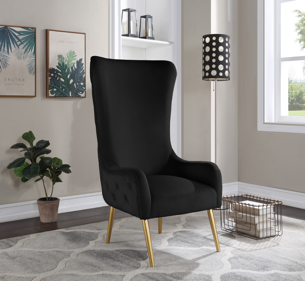 Alexander Velvet Accent Chair   Midcentury   Armchairs And Accent Chairs   by Meridian Furniture  Houzz