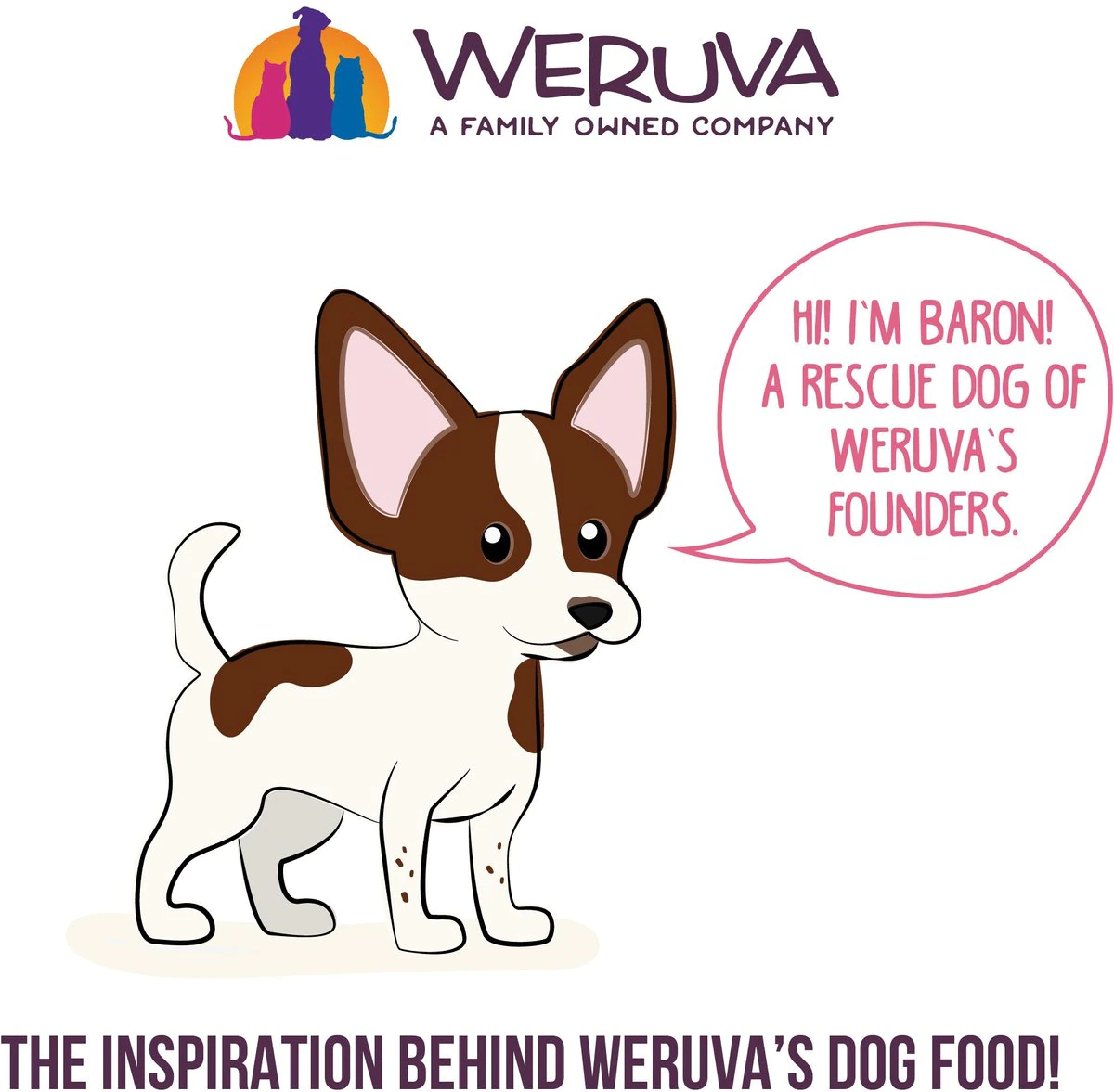 Weruva Amazon Livin' with Chicken and Chicken Liver in Pumpkin Soup Grain-Free Canned Dog Food 5.5-oz can case of 24