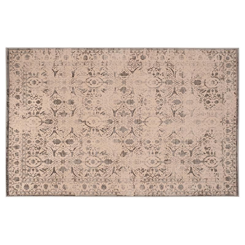 Safavieh Brilliance Gabriella Framed Floral Rug