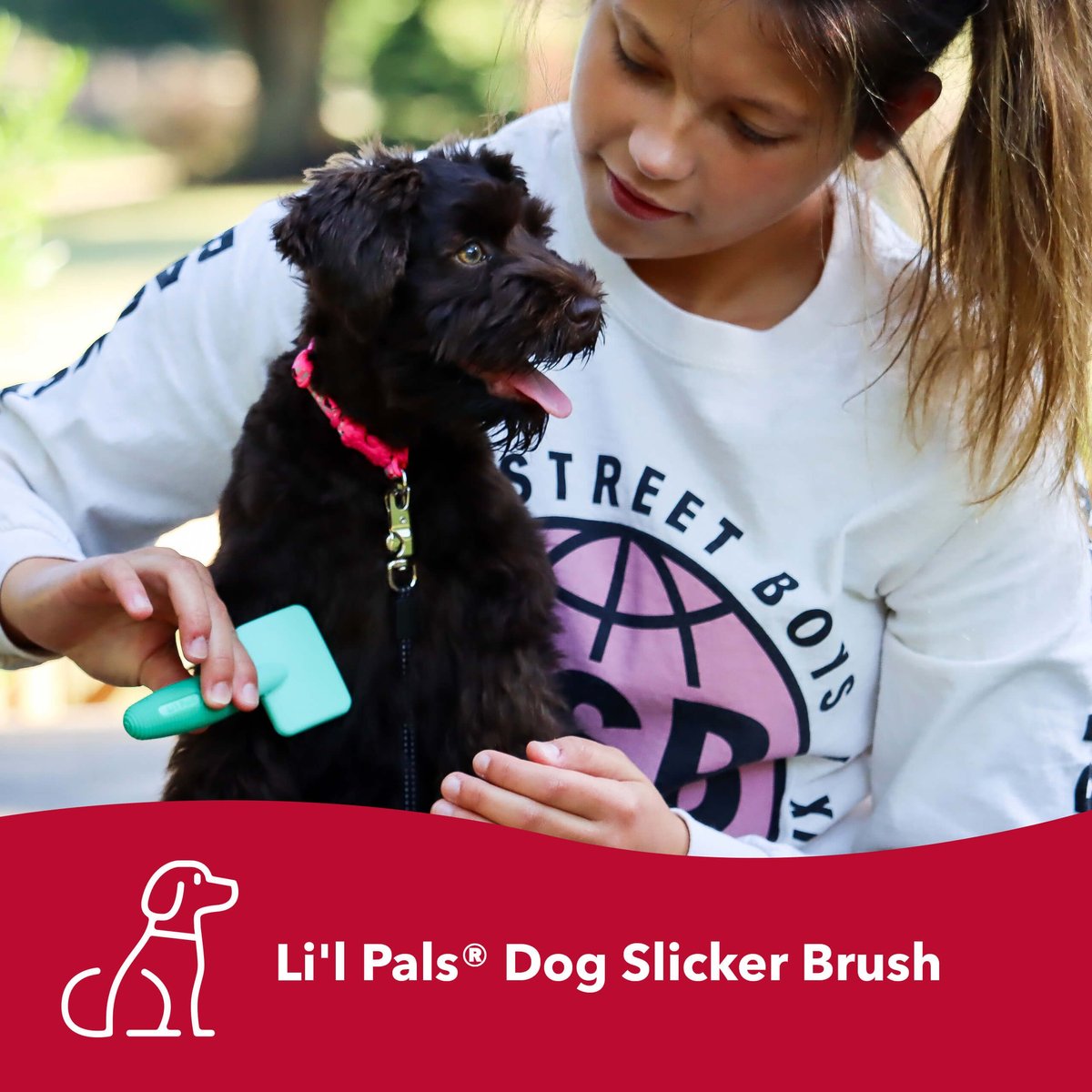 Li'l Pals Coated Tips Dog Slicker Brush