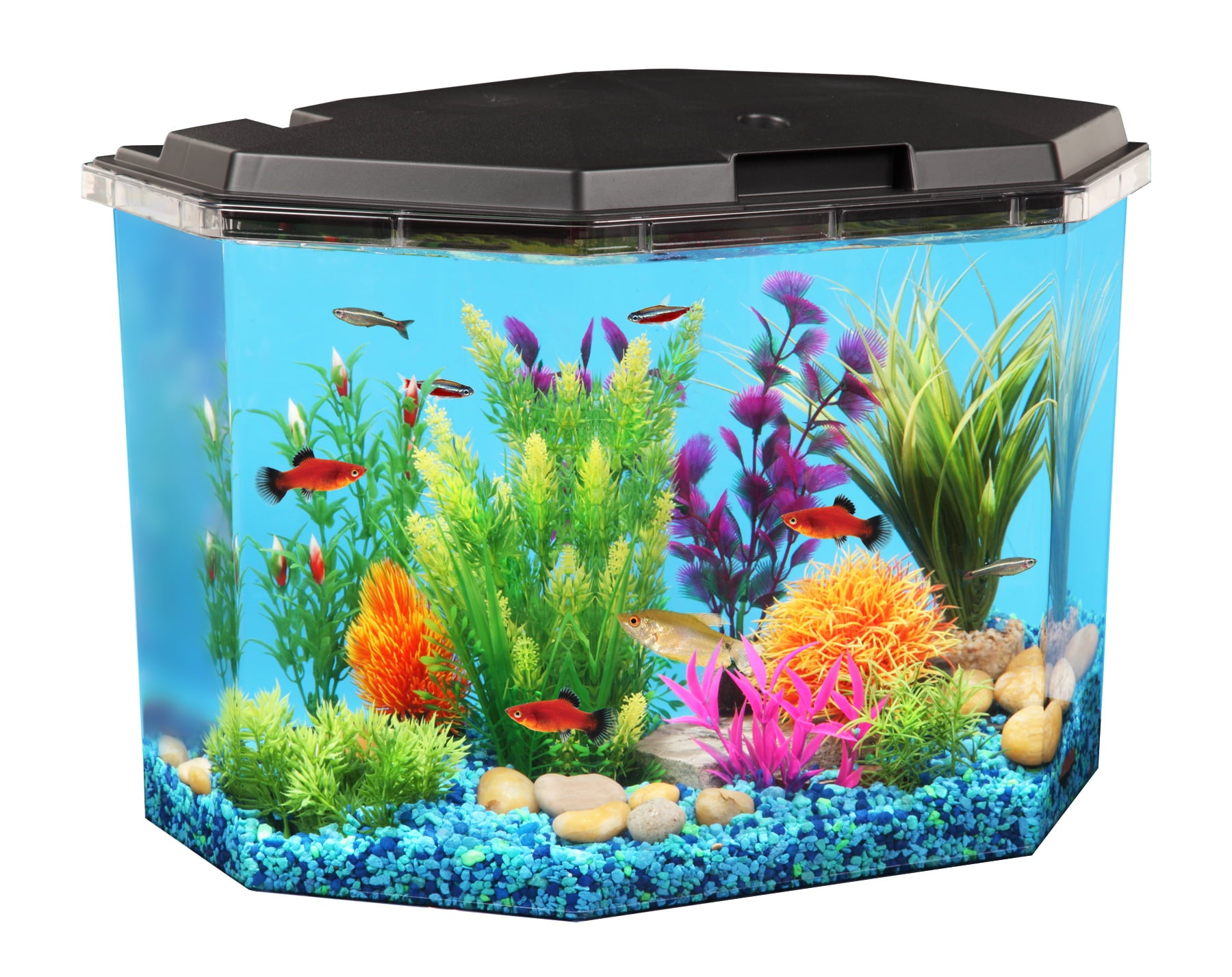 KollerCraft Smart Tank 6.5-Gallon Aquarium Kit， Create Custom LED Light Colors， Monitor Tank Temperature， Schedule Maintenance Reminders and Alerts Easily From Your iPhone or Android