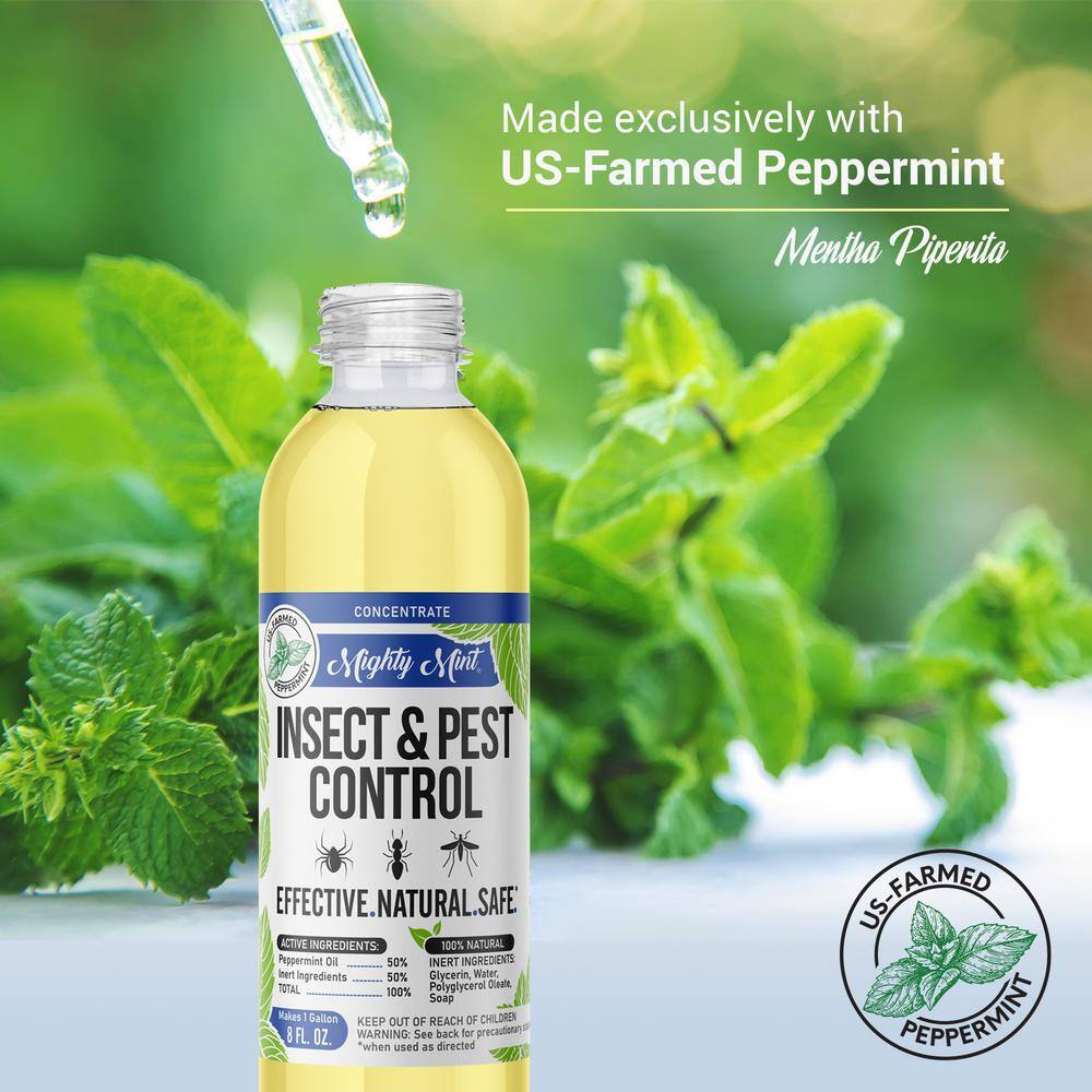 Mighty Mint 8 oz. Insect and Pest Control Peppermint Concentrate - Makes a Gallon - Natural Spray for Spiders Ants and More IC-8