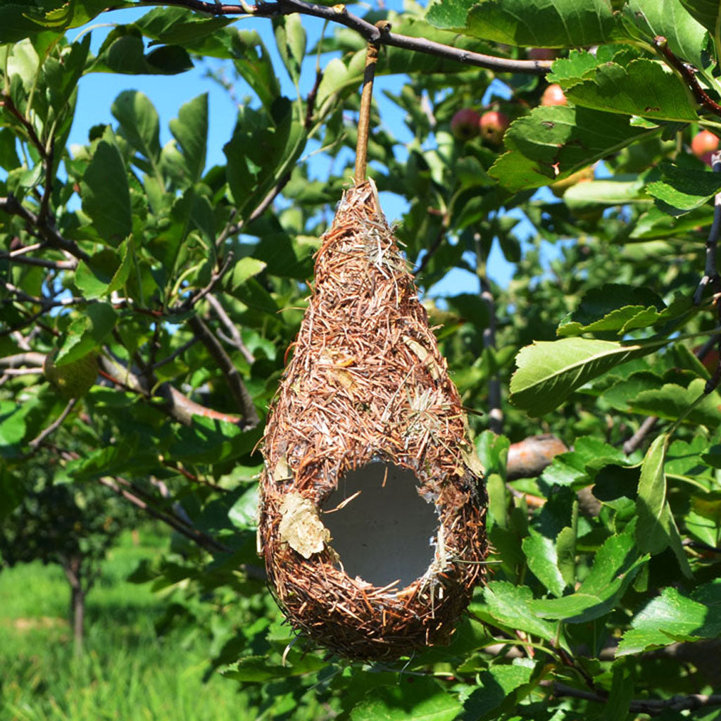 Bird House Feeder Nesting Box Hanging # Drop 2