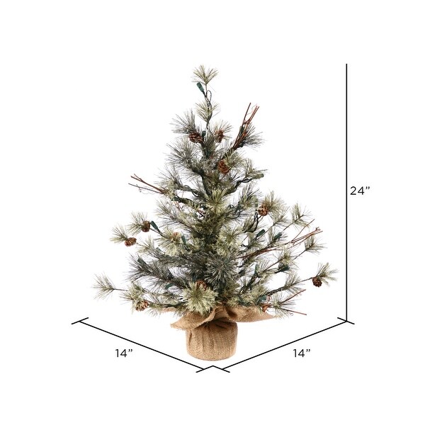 Vickerman 24 Dakota Pine Artificial Christmas Tree，Unlit