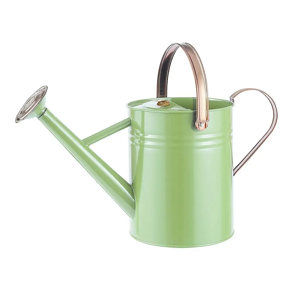 Wholesaler Of Galvanized Water Can Creative Design Handmade Watering Can Garden Supplies Low Price Vintage Water Can