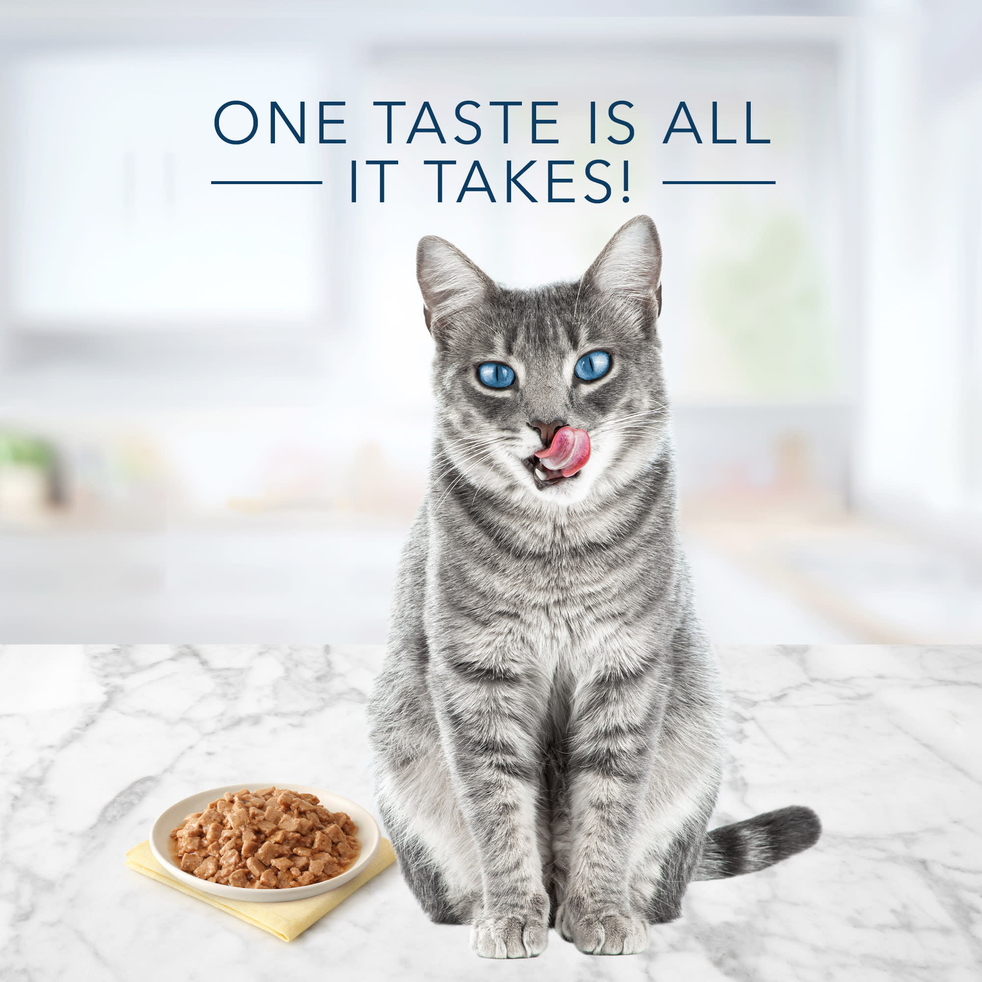 Blue Buffalo Blue Tastefuls Chicken Entree in Gravy Flaked Wet Cat Food， 5.5 oz.， Case of 12