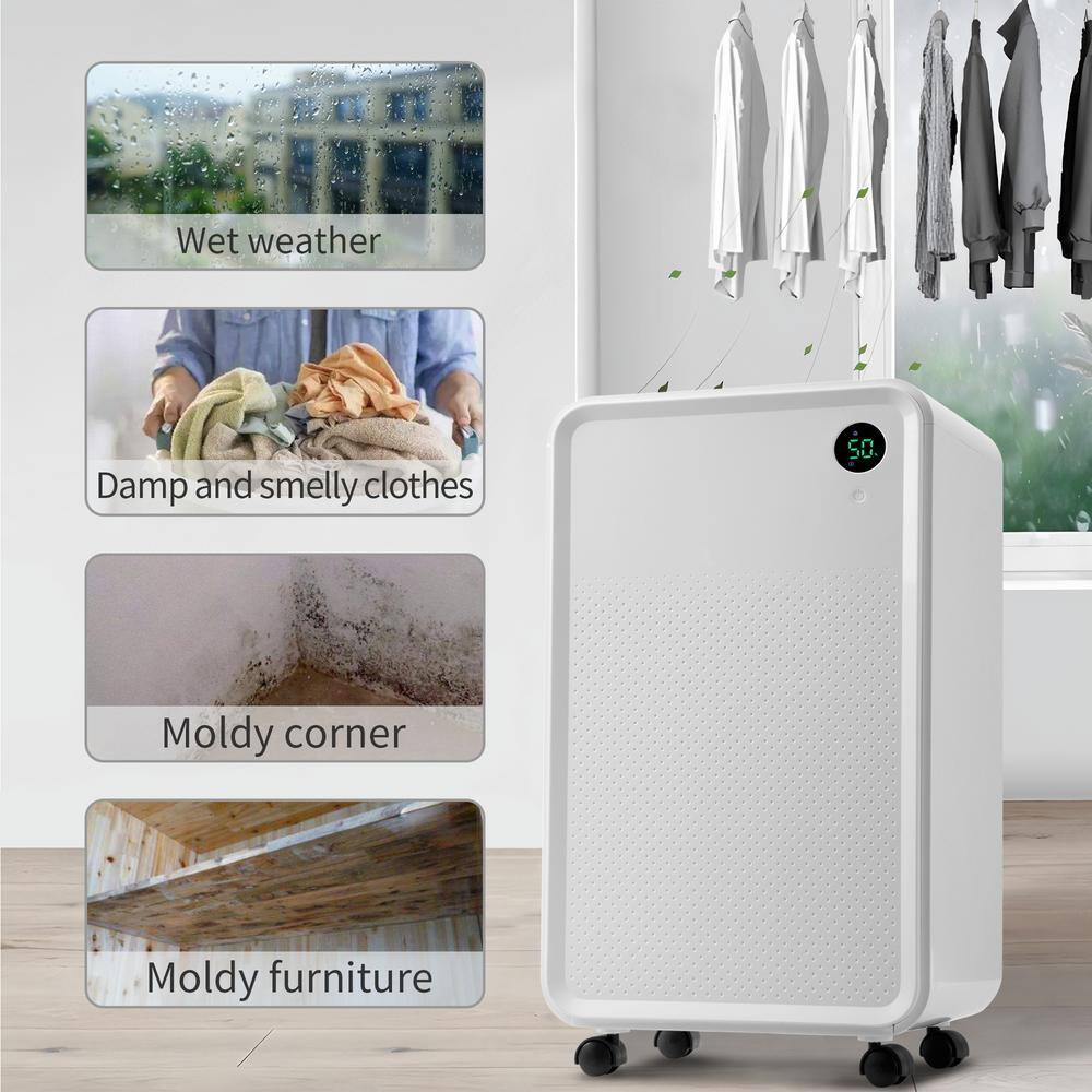 30 pt. 3000 sq.ft. Auto or Manual Drain Dehumidifier in. White with 2L Water Tank jinxDHMDFR1